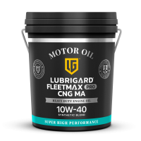 Lubrigard Fleetmax Pro CNG MA 10W-40, 19л