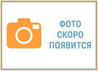 Высокоскоростная паста OKS 220 MoS2, 50гр