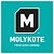 Molykote